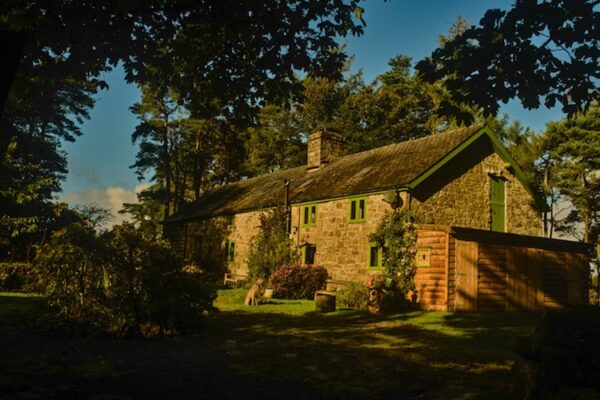 Jaukus valų kotedžas ir švelnus vilkšunio šeimininkas